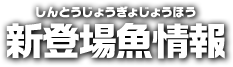 新登場魚情報