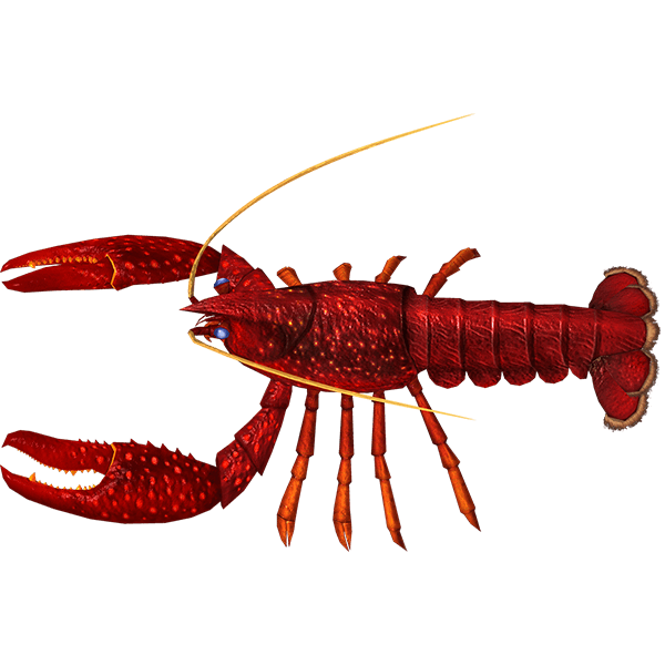 アメリカザリガニ